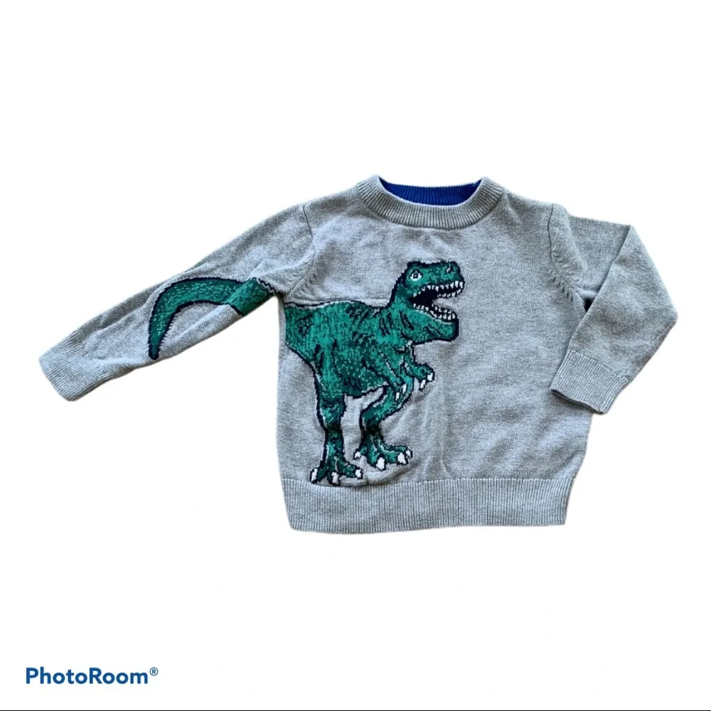 Baby Gap 2 Year T Rex Sweater